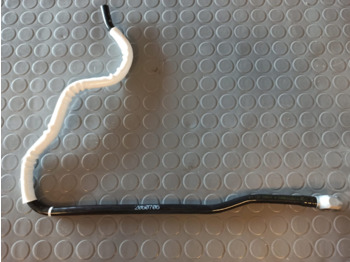 : foto do cabeçalho