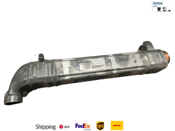 : foto do cabeçalho