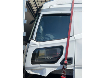 Porta e peças DAF XG