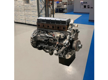 : foto do cabeçalho