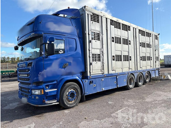Camião transporte de gado SCANIA R 580