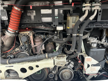 Ônibus urbano MAN A20 Lions City (DE*Euro6*TOP) A20/Citaro MAN A20 Lions City (DE*Euro6*TOP) A20/Citaro: foto 3