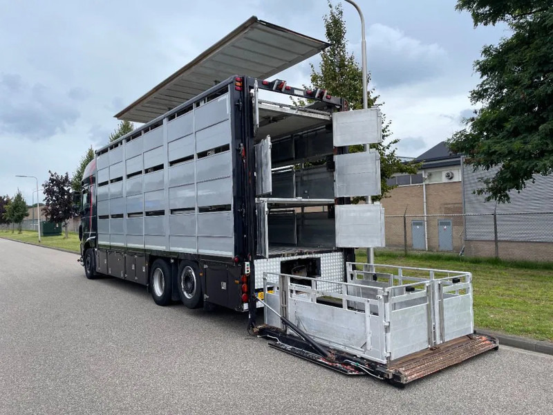 DAF XF 460 2017 berdex 3 lagen varkens - Camião transporte de gado: foto 4 DAF XF 460 2017 berdex 3 lagen varkens - Camião transporte de gado: foto 4