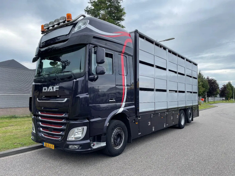 DAF XF 460 2017 berdex 3 lagen varkens - Camião transporte de gado: foto 1 DAF XF 460 2017 berdex 3 lagen varkens - Camião transporte de gado: foto 1