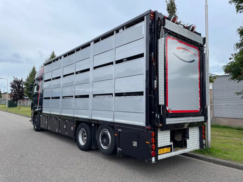 DAF XF 460 2017 berdex 3 lagen varkens - Camião transporte de gado: foto 2 DAF XF 460 2017 berdex 3 lagen varkens - Camião transporte de gado: foto 2