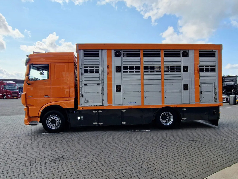 Camião transporte de gado DAF XF 530 4x2 - Livestock Menke + 2018 Menke trailer 2 deck - Water + Ventilation - Lifting roof: foto 18