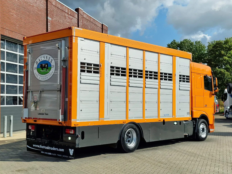 Camião transporte de gado DAF XF 530 4x2 - Livestock Menke + 2018 Menke trailer 2 deck - Water + Ventilation - Lifting roof: foto 20
