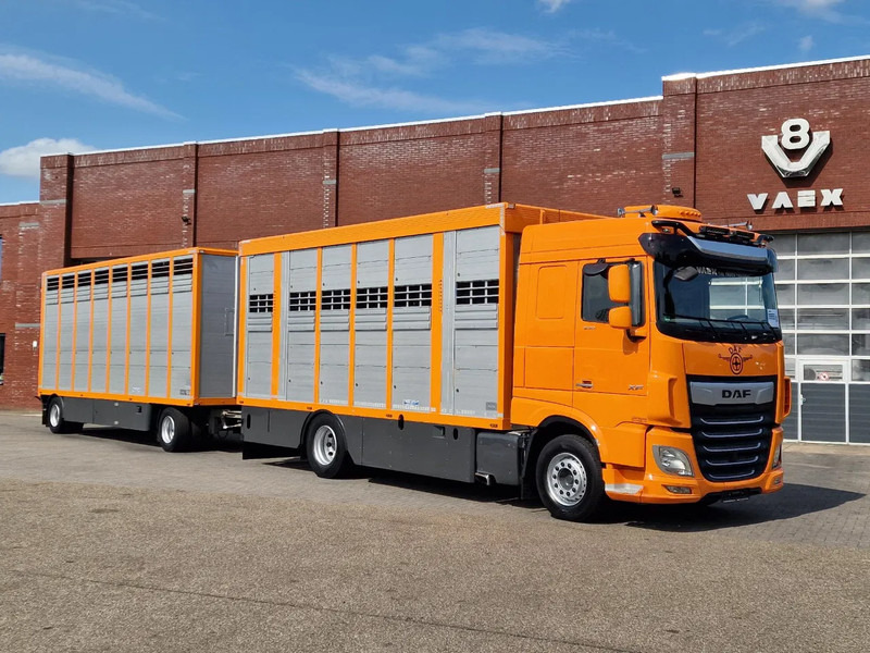 DAF XF 530 4x2 - Livestock Menke + 2018 Menke trailer 2 deck - Water + Ventilation - Lifting roof - Camião transporte de gado: foto 2 DAF XF 530 4x2 - Livestock Menke + 2018 Menke trailer 2 deck - Water + Ventilation - Lifting roof - Camião transporte de gado: foto 2