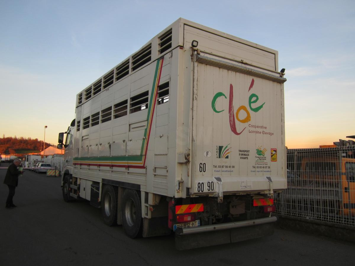 Volvo FH 460 - Camião transporte de gado: foto 5 Volvo FH 460 - Camião transporte de gado: foto 5