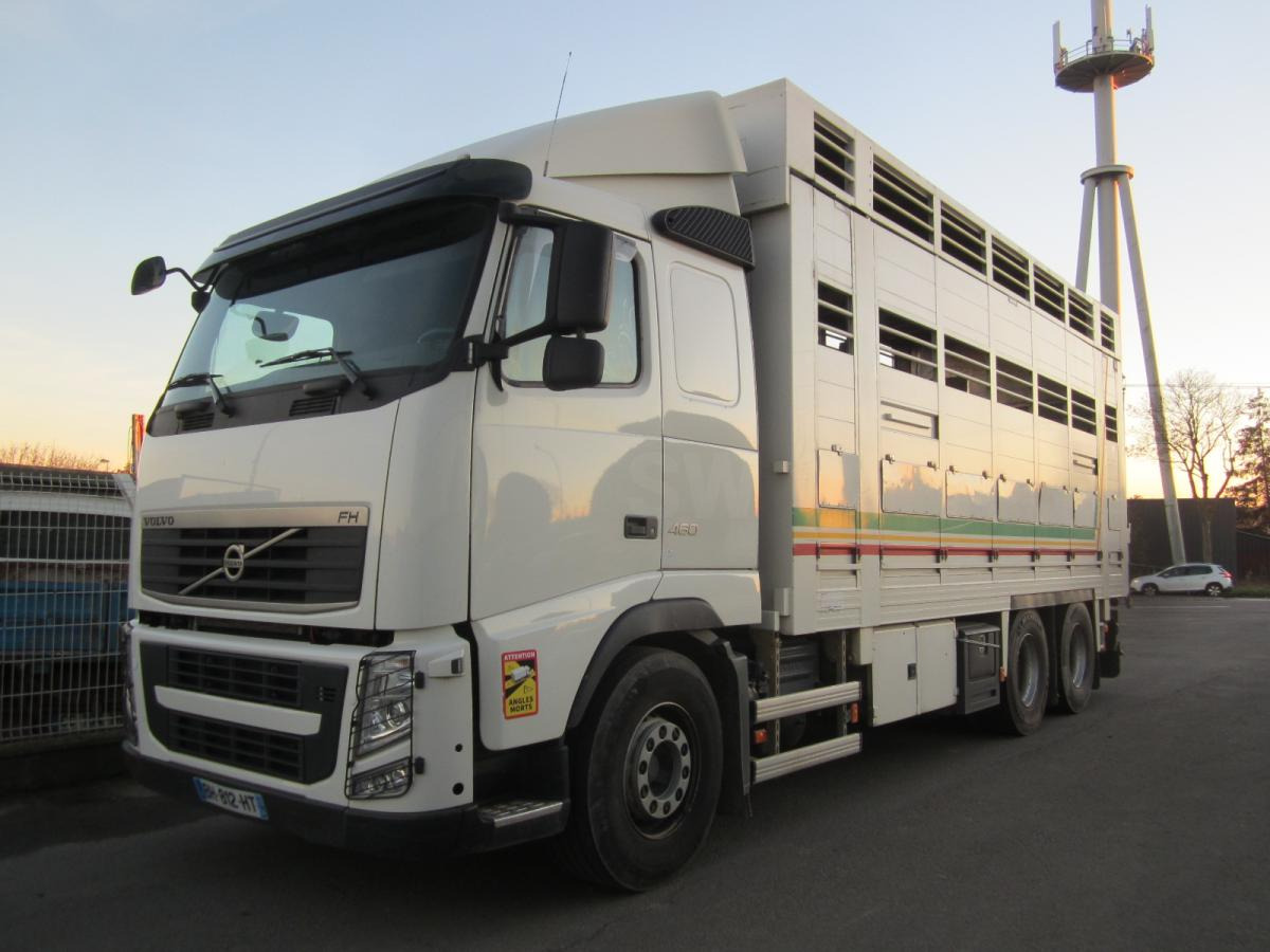 Volvo FH 460 - Camião transporte de gado: foto 1 Volvo FH 460 - Camião transporte de gado: foto 1