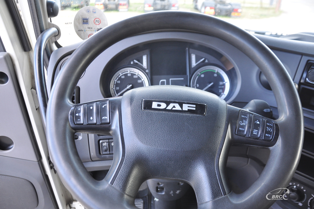 Camião transporte de gado DAF XF 460 FAR: foto 16