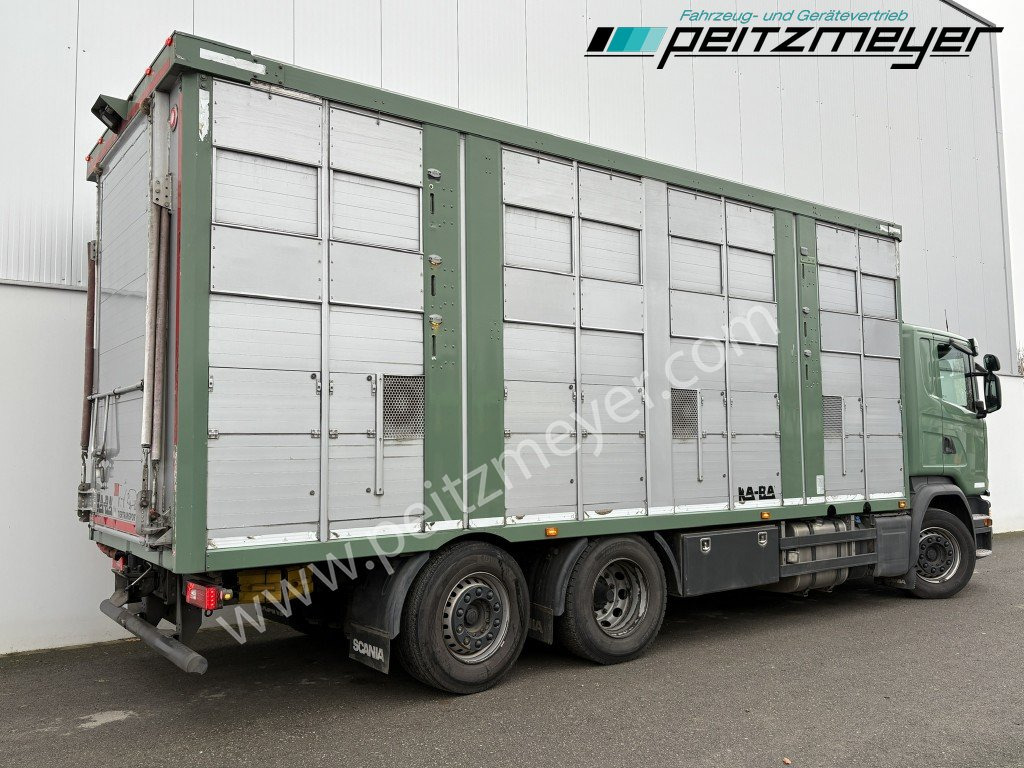 Camião transporte de gado Scania G 450 6x2, Kaba 3-Stock, Hubdach Lenk + Lift,: foto 34 Camião transporte de gado Scania G 450 6x2, Kaba 3-Stock, Hubdach Lenk + Lift,: foto 34
