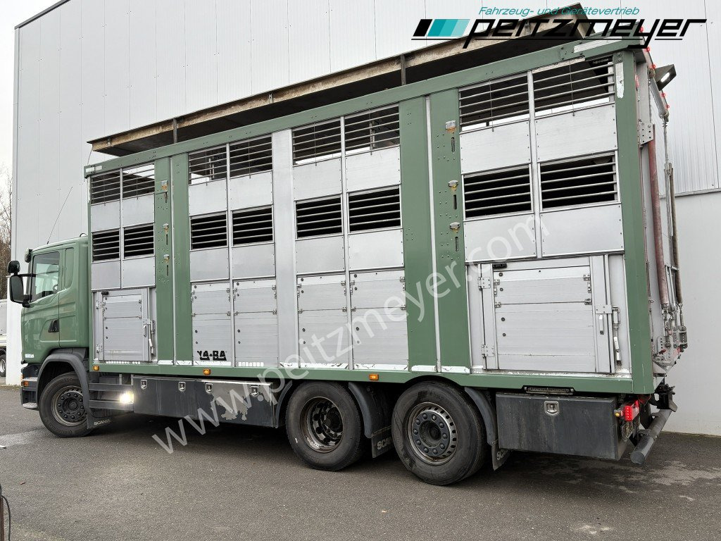 Scania G 450 6x2, Kaba 3-Stock, Hubdach Lenk + Lift, - Camião transporte de gado: foto 3 Scania G 450 6x2, Kaba 3-Stock, Hubdach Lenk + Lift, - Camião transporte de gado: foto 3