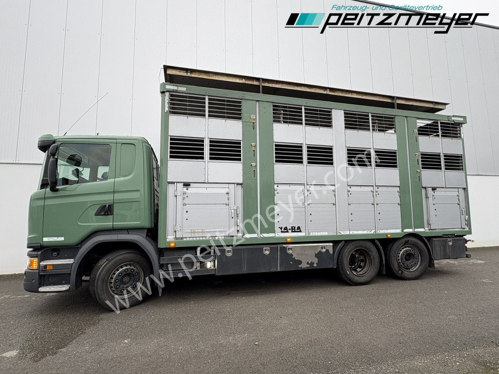 Camião transporte de gado Scania G 450 6x2, Kaba 3-Stock, Hubdach Lenk + Lift,: foto 8 Camião transporte de gado Scania G 450 6x2, Kaba 3-Stock, Hubdach Lenk + Lift,: foto 8