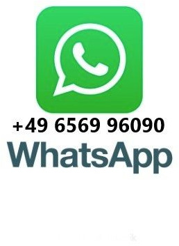 MAN TGS 18.360 4x4 Winterdienst Fahrgestell - Camião chassi: foto 2 MAN TGS 18.360 4x4 Winterdienst Fahrgestell - Camião chassi: foto 2