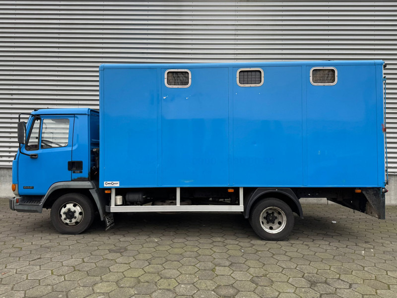 DAF LF45.130 / Horse Truck / 6 Cilinder / Manual Gearbox / Euro 2 / NL Trucks - Camião transporte de gado: foto 5 DAF LF45.130 / Horse Truck / 6 Cilinder / Manual Gearbox / Euro 2 / NL Trucks - Camião transporte de gado: foto 5