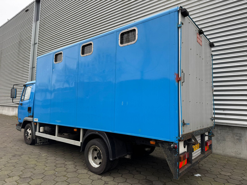 DAF LF45.130 / Horse Truck / 6 Cilinder / Manual Gearbox / Euro 2 / NL Trucks - Camião transporte de gado: foto 4 DAF LF45.130 / Horse Truck / 6 Cilinder / Manual Gearbox / Euro 2 / NL Trucks - Camião transporte de gado: foto 4