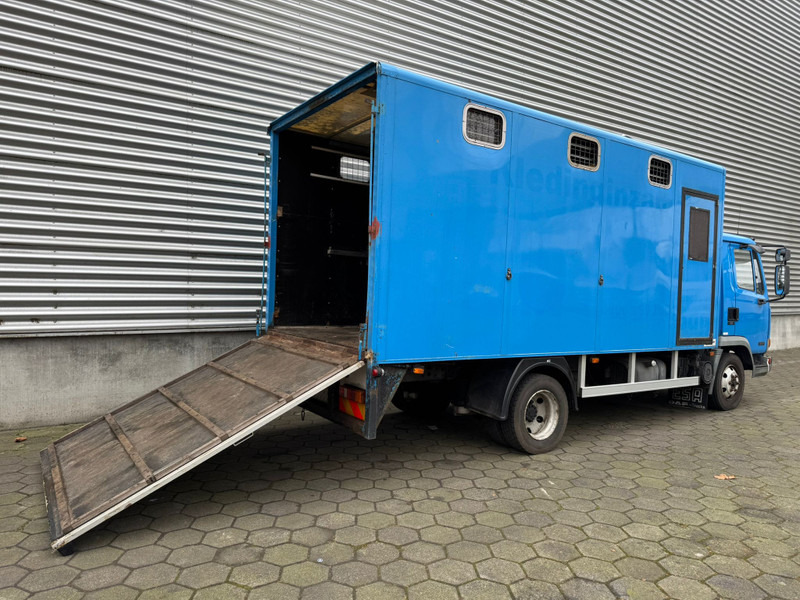DAF LF45.130 / Horse Truck / 6 Cilinder / Manual Gearbox / Euro 2 / NL Trucks - Camião transporte de gado: foto 3 DAF LF45.130 / Horse Truck / 6 Cilinder / Manual Gearbox / Euro 2 / NL Trucks - Camião transporte de gado: foto 3