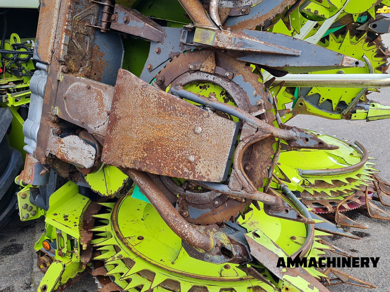 Plataforma para colher milho para transporte de alimentos Claas Orbis 600SD rotary corn header: foto 19