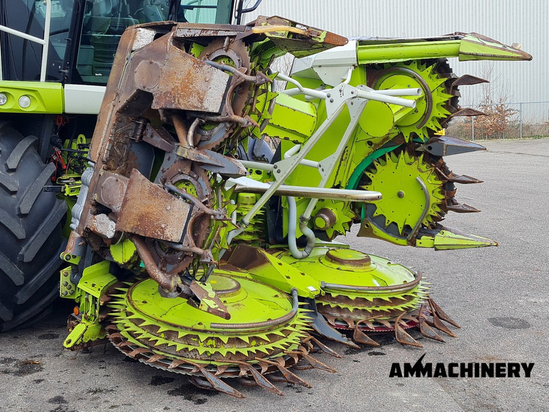 Plataforma para colher milho para transporte de alimentos Claas Orbis 600SD rotary corn header: foto 15