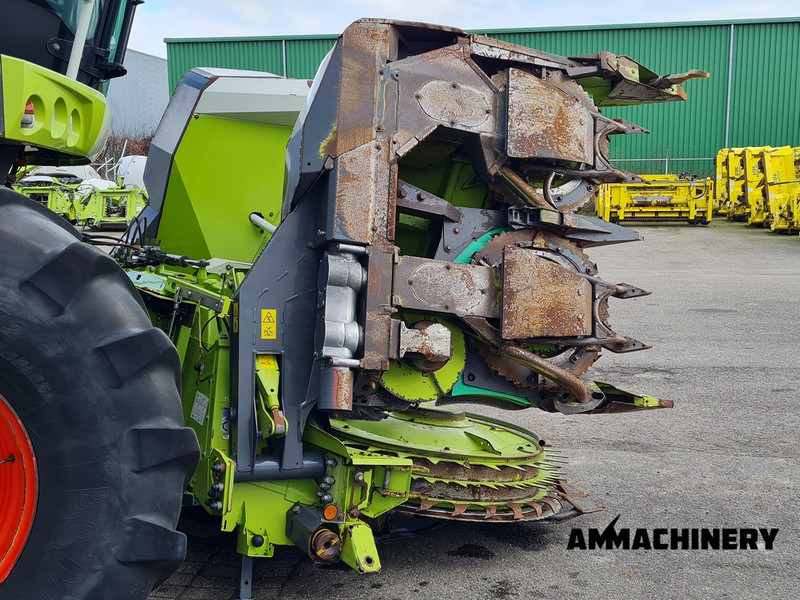 Plataforma para colher milho para transporte de alimentos Claas Orbis 600SD rotary corn header: foto 16