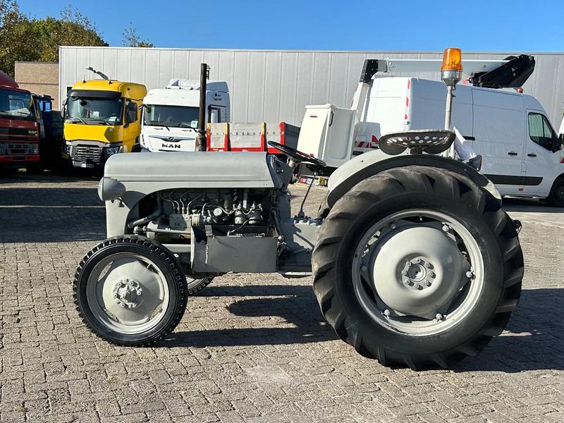 Diversen FERGUSON tractor - Trator: foto 1 Diversen FERGUSON tractor - Trator: foto 1