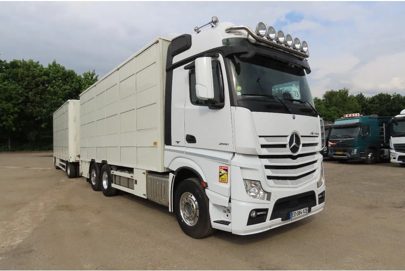 Mercedes-Benz Actros 2551 BERDEX 3 decks, All options + Berdex 12/ 2007 - Camião transporte de gado: foto 1 Mercedes-Benz Actros 2551 BERDEX 3 decks, All options + Berdex 12/ 2007 - Camião transporte de gado: foto 1