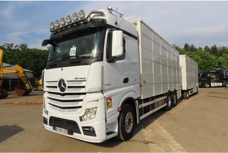 Mercedes-Benz Actros 2551 BERDEX 3 decks, All options + Berdex 12/ 2007 - Camião transporte de gado: foto 3 Mercedes-Benz Actros 2551 BERDEX 3 decks, All options + Berdex 12/ 2007 - Camião transporte de gado: foto 3