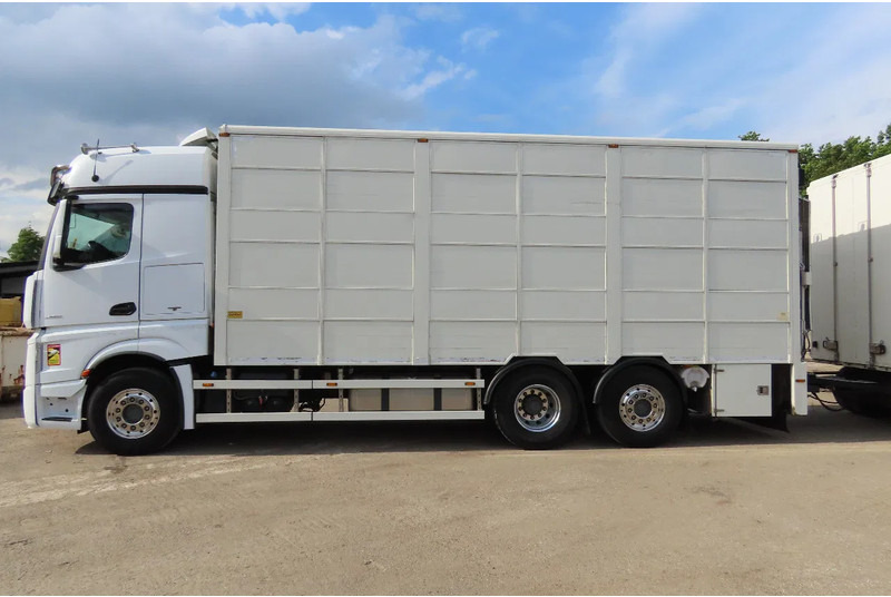 Mercedes-Benz Actros 2551 BERDEX 3 decks, All options + Berdex 12/ 2007 - Camião transporte de gado: foto 4 Mercedes-Benz Actros 2551 BERDEX 3 decks, All options + Berdex 12/ 2007 - Camião transporte de gado: foto 4