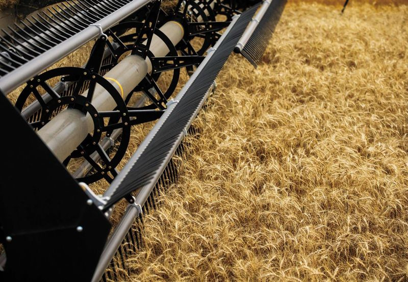 Plataforma para colheitadeira novo Honey Bee AirFLEX NXT AFN245: foto 17