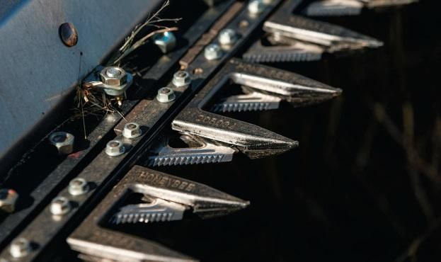 Plataforma para colheitadeira novo Honey Bee AirFLEX NXT AFN245: foto 22