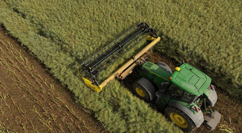 Plataforma para colheitadeira novo Honey Bee ST 15 - BANDSCHWADMÄHWERK: foto 24 Plataforma para colheitadeira novo Honey Bee ST 15 - BANDSCHWADMÄHWERK: foto 24