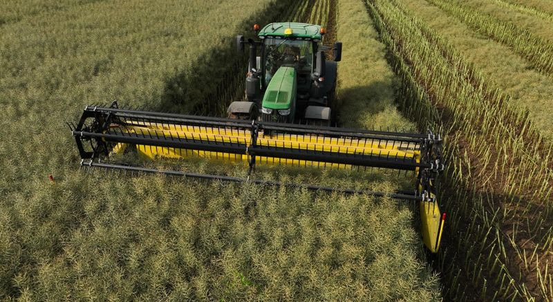 Plataforma para colheitadeira novo Honey Bee ST 15 - BANDSCHWADMÄHWERK: foto 9 Plataforma para colheitadeira novo Honey Bee ST 15 - BANDSCHWADMÄHWERK: foto 9