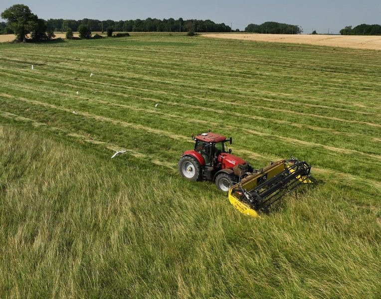 Plataforma para colheitadeira novo Honey Bee ST 15 - BANDSCHWADMÄHWERK: foto 10 Plataforma para colheitadeira novo Honey Bee ST 15 - BANDSCHWADMÄHWERK: foto 10