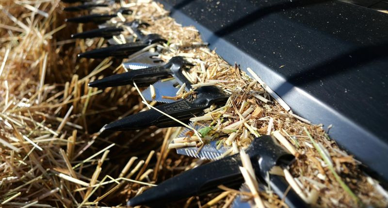 Plataforma para colheitadeira novo Honey Bee ST 15 - BANDSCHWADMÄHWERK: foto 6 Plataforma para colheitadeira novo Honey Bee ST 15 - BANDSCHWADMÄHWERK: foto 6