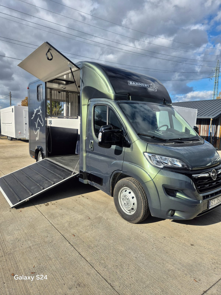 Opel Bannert Koniowoz / Horse Truck / In Stock - Camião de transporte de cavalos: foto 1 Opel Bannert Koniowoz / Horse Truck / In Stock - Camião de transporte de cavalos: foto 1