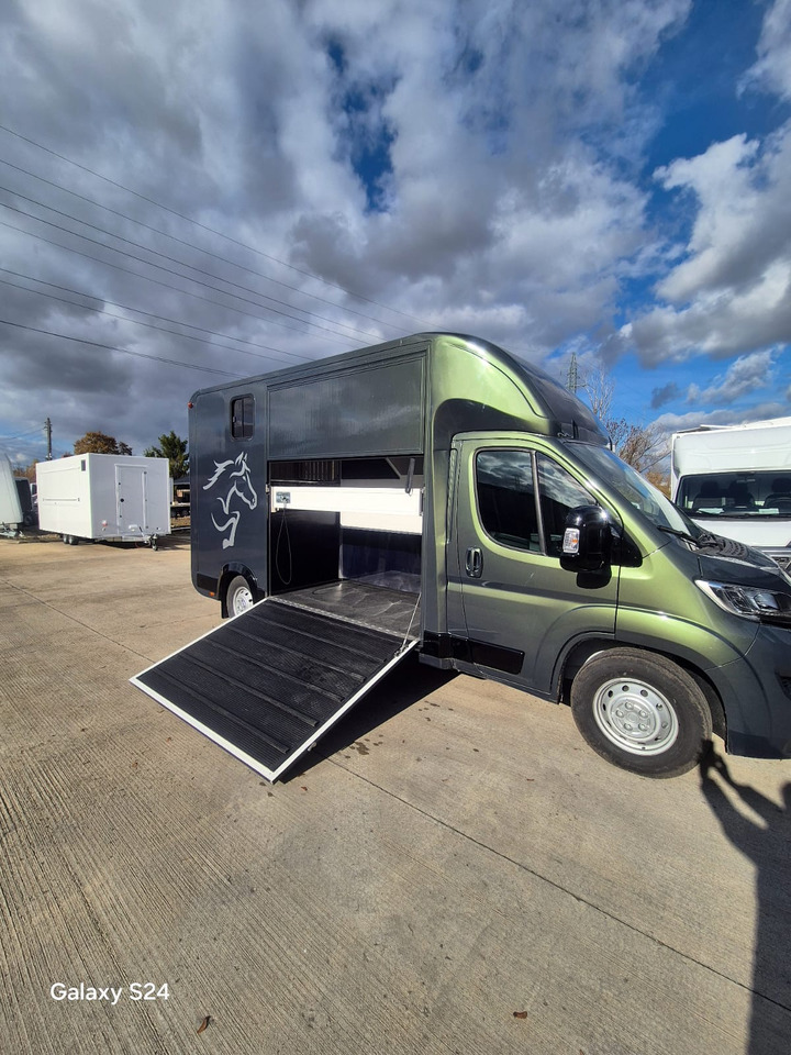 Opel Bannert Koniowoz / Horse Truck / In Stock - Camião de transporte de cavalos: foto 2 Opel Bannert Koniowoz / Horse Truck / In Stock - Camião de transporte de cavalos: foto 2