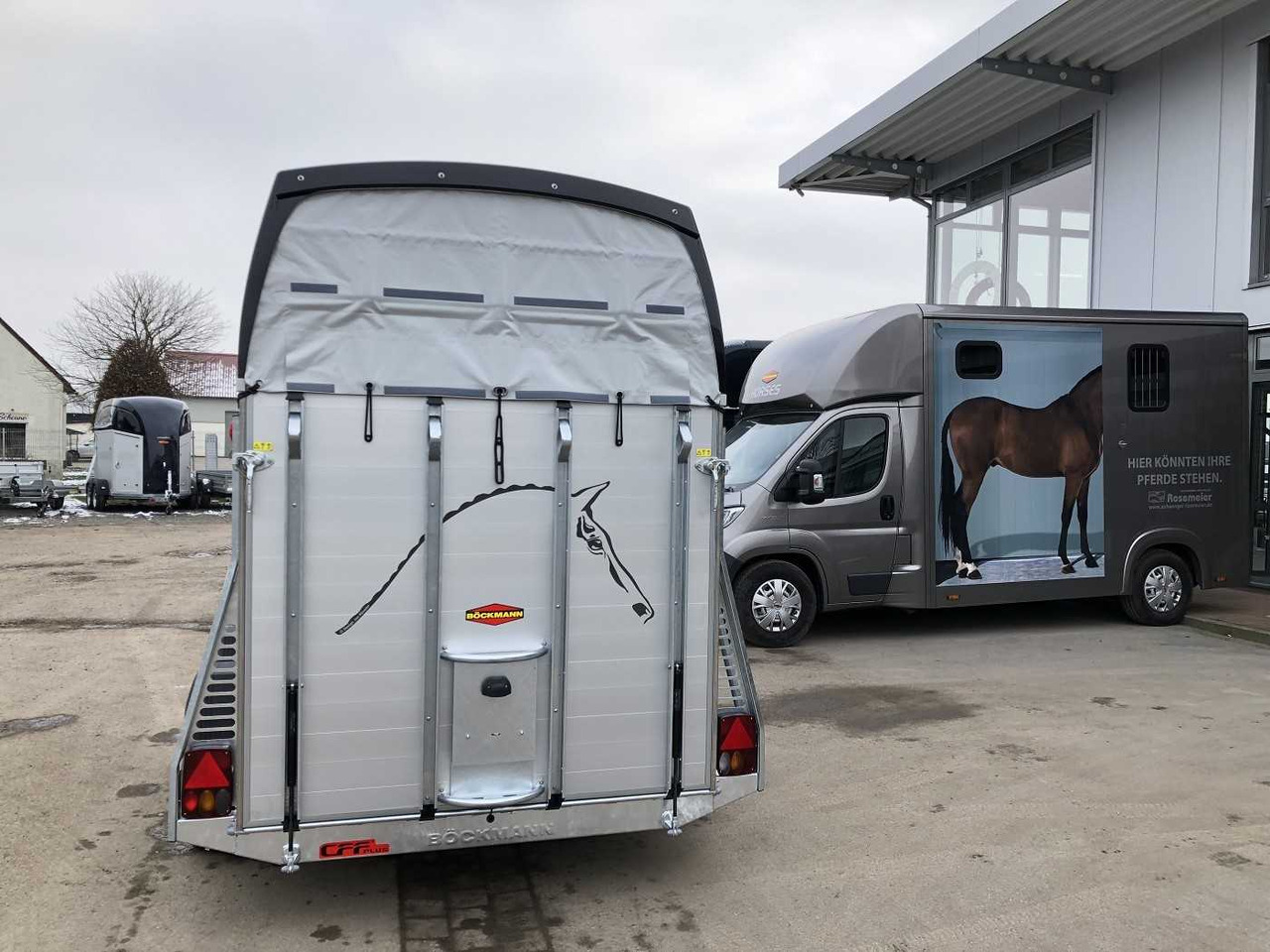 Reboque para cavalos novo BOECKMANN Champion C Kutsche SK Pferdeanhänger: foto 28