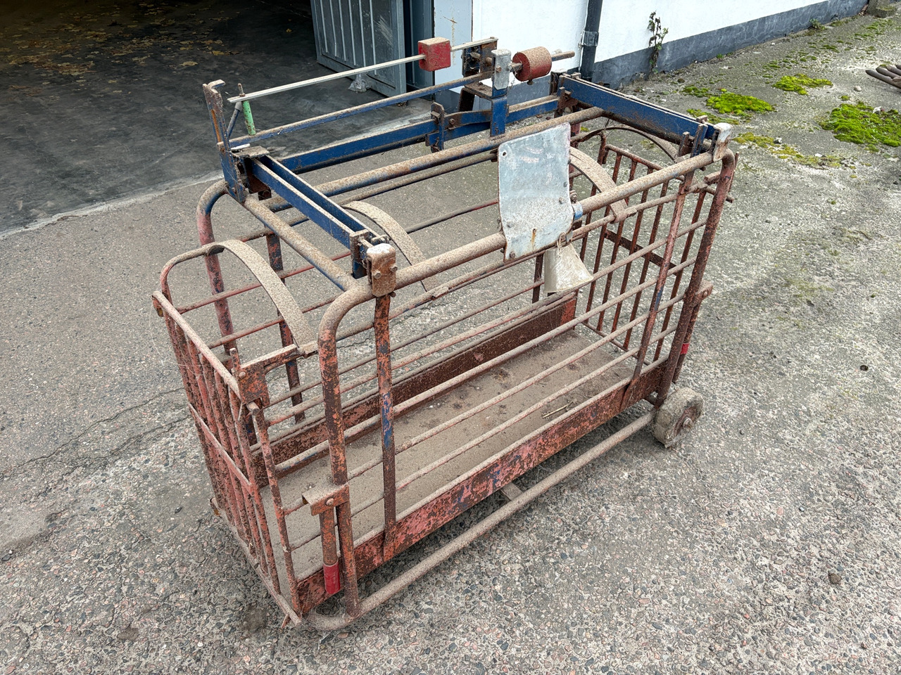 Aarhus Model 65 - Equipamento de gado: foto 1 Aarhus Model 65 - Equipamento de gado: foto 1