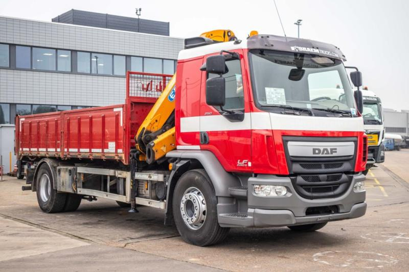 Camião basculante, Camião grua DAF LF 250 - EFFER 145: foto 6