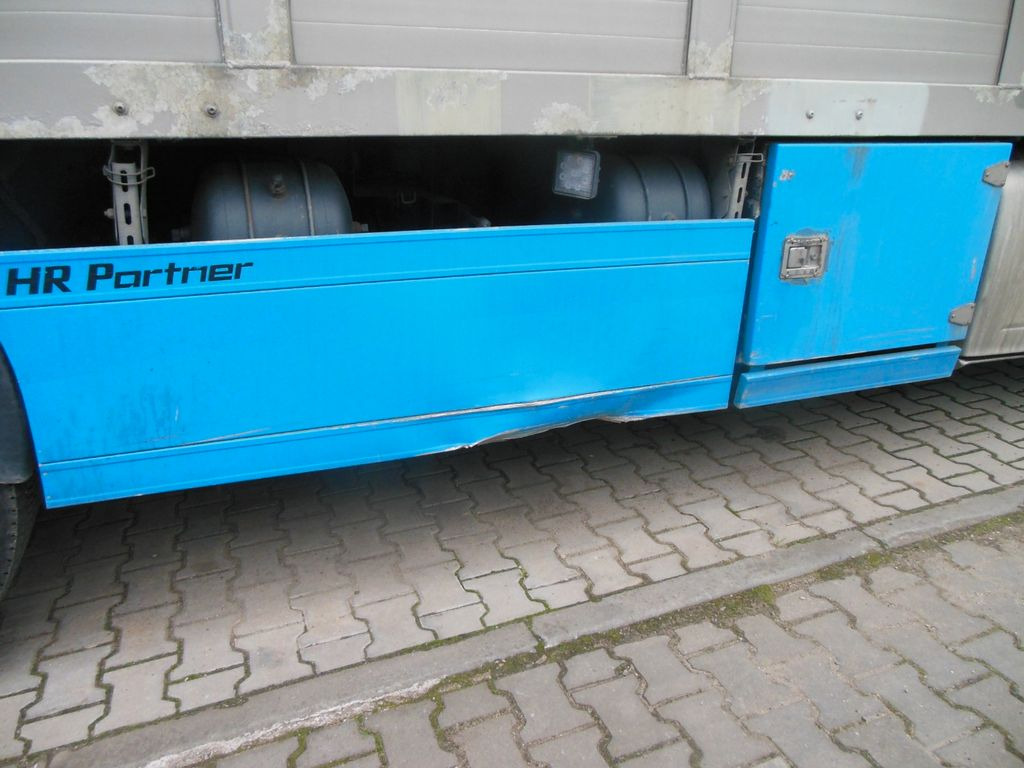 Camião transporte de gado DAF XF 106.460, MENKE-JANZEN, UNFALL-FAHRBAR!!: foto 13