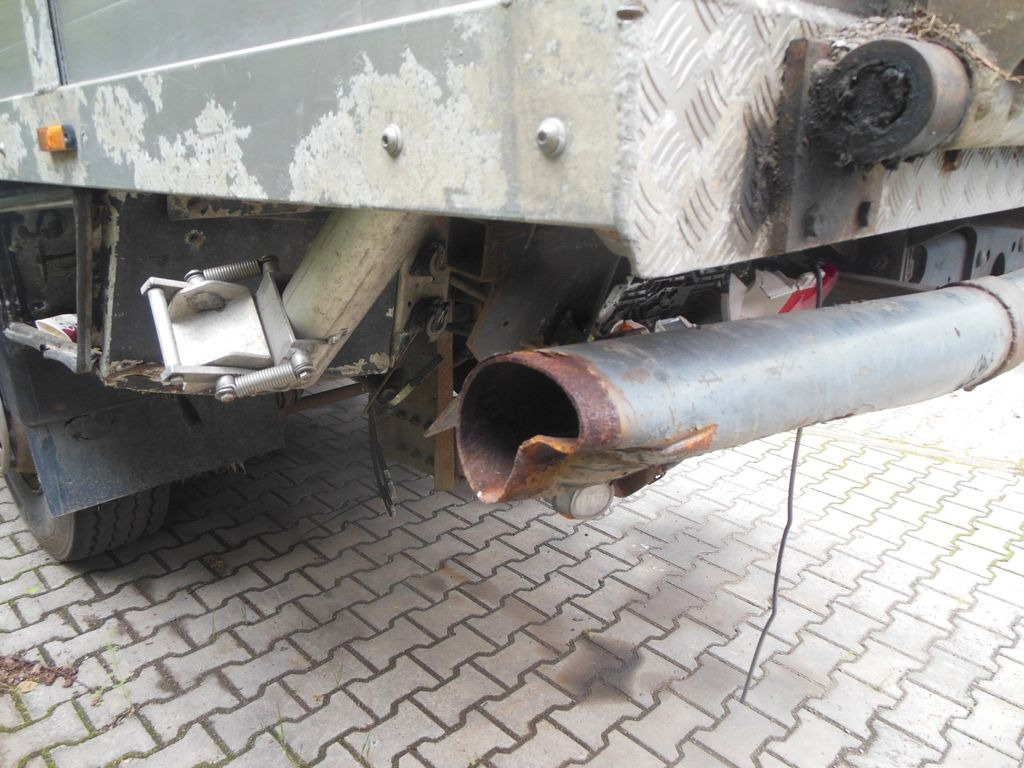 Camião transporte de gado DAF XF 106.460, MENKE-JANZEN, UNFALL-FAHRBAR!!: foto 10