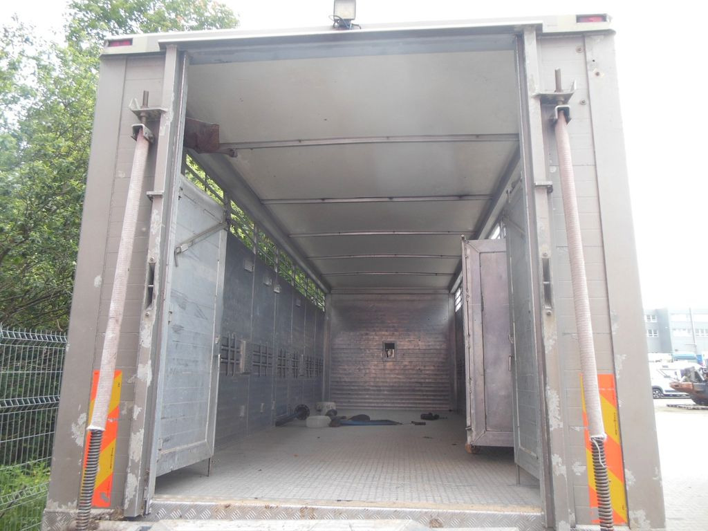 Camião transporte de gado DAF XF 106.460, MENKE-JANZEN, UNFALL-FAHRBAR!!: foto 14