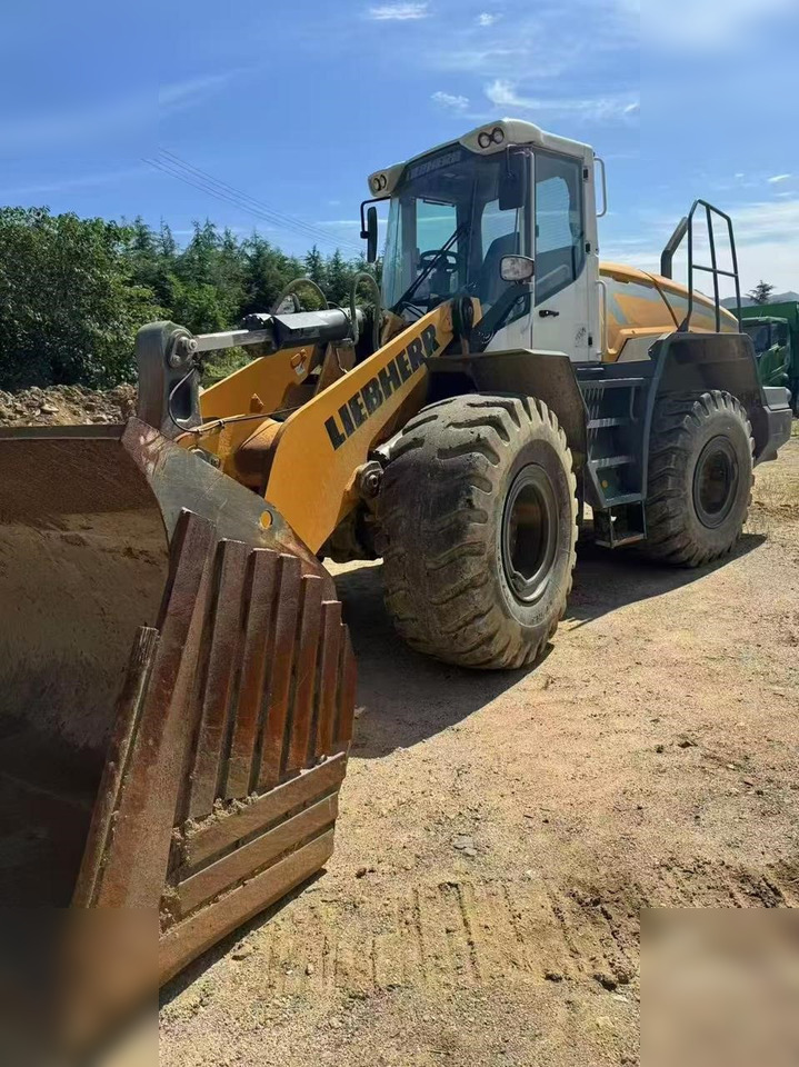 2020 LIEBHERR L550 - Pá carregadora de rodas: foto 1 2020 LIEBHERR L550 - Pá carregadora de rodas: foto 1