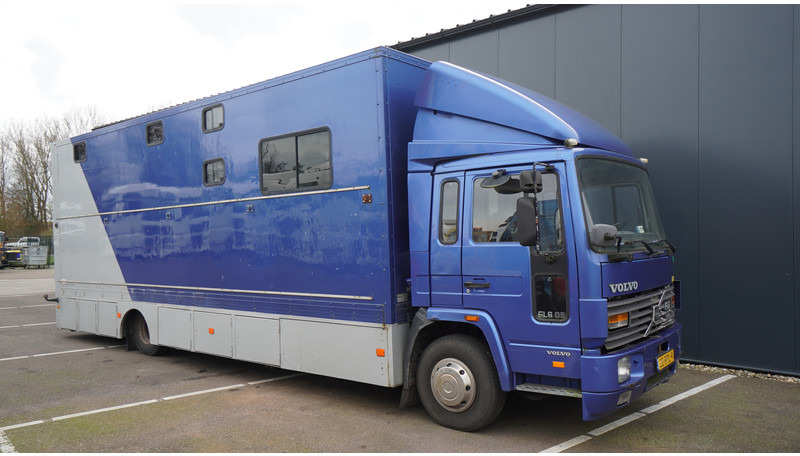 Volvo FL 6-9 HORSE TRANSPORT 341.000KM MANUAL GEARBOX - Camião de transporte de cavalos: foto 4 Volvo FL 6-9 HORSE TRANSPORT 341.000KM MANUAL GEARBOX - Camião de transporte de cavalos: foto 4
