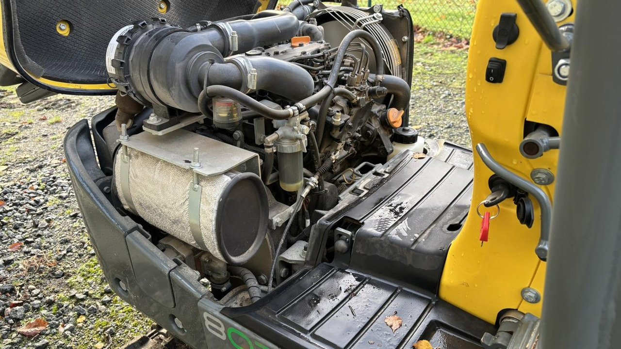 Mini escavadeira novo Wacker 803: foto 9