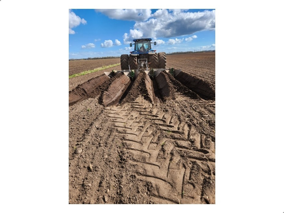 Reekie
4 elementer - Arado: foto 5 Reekie
4 elementer - Arado: foto 5