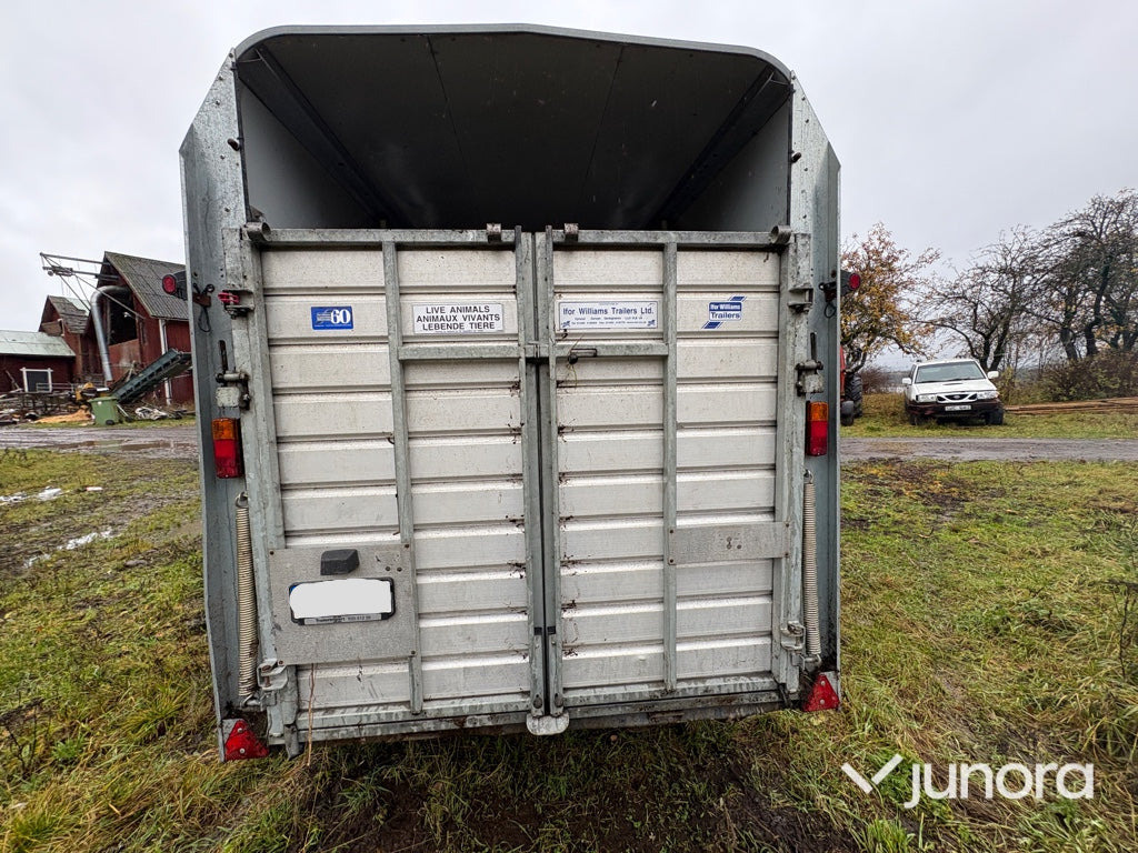 Boskapssläp - Ifor Williams - Reboque transporte de gado: foto 5 Boskapssläp - Ifor Williams - Reboque transporte de gado: foto 5