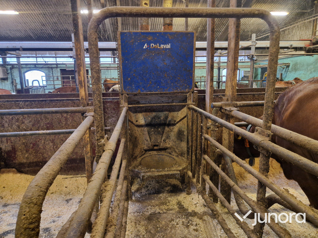 Foderstationer - Delaval, FSC40, 2st - Equipamento de gado: foto 3 Foderstationer - Delaval, FSC40, 2st - Equipamento de gado: foto 3