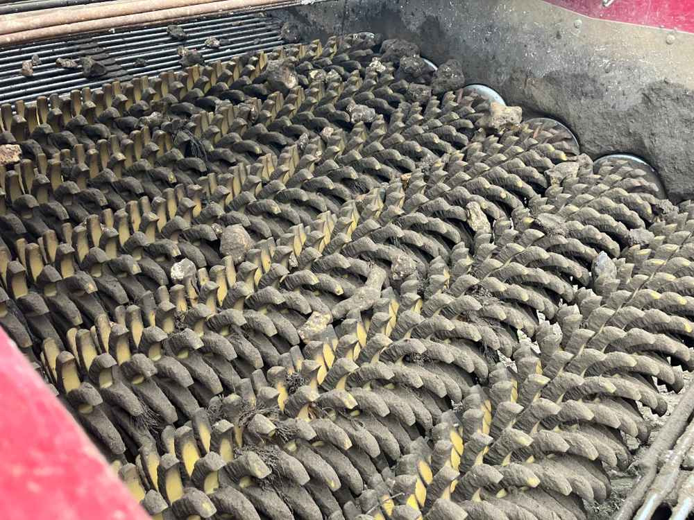 Colheitadeira de batatas Scanstone Scanstone Ecostar De-Stoner: foto 7